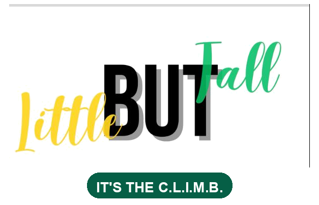 Little But Tall Charities logo